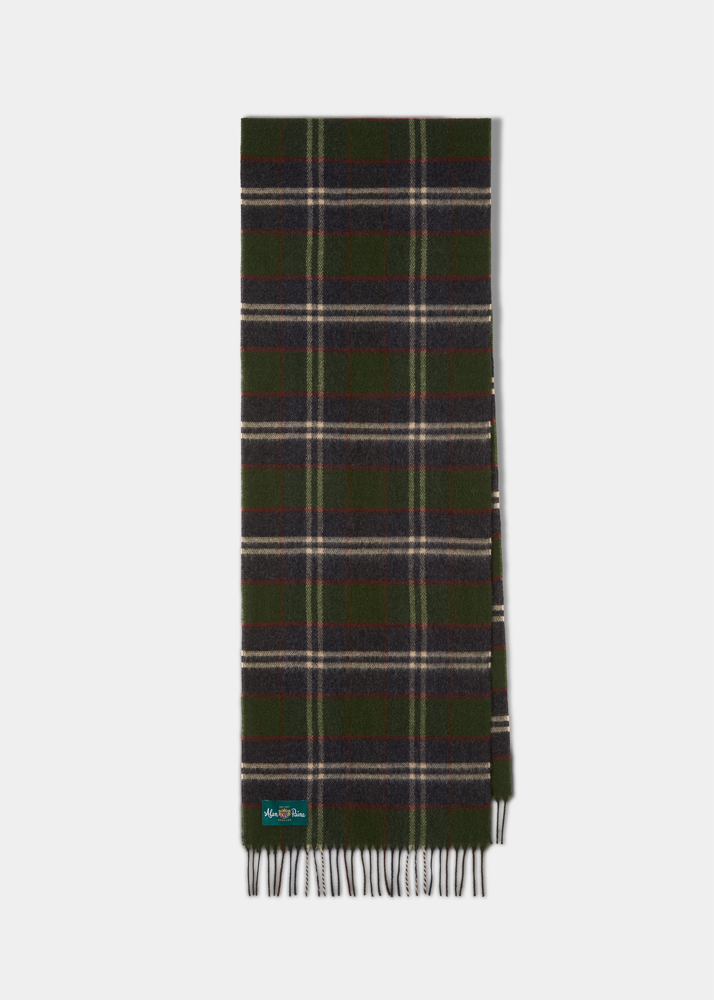 Lubmore Wool Plaid Scarf In Green