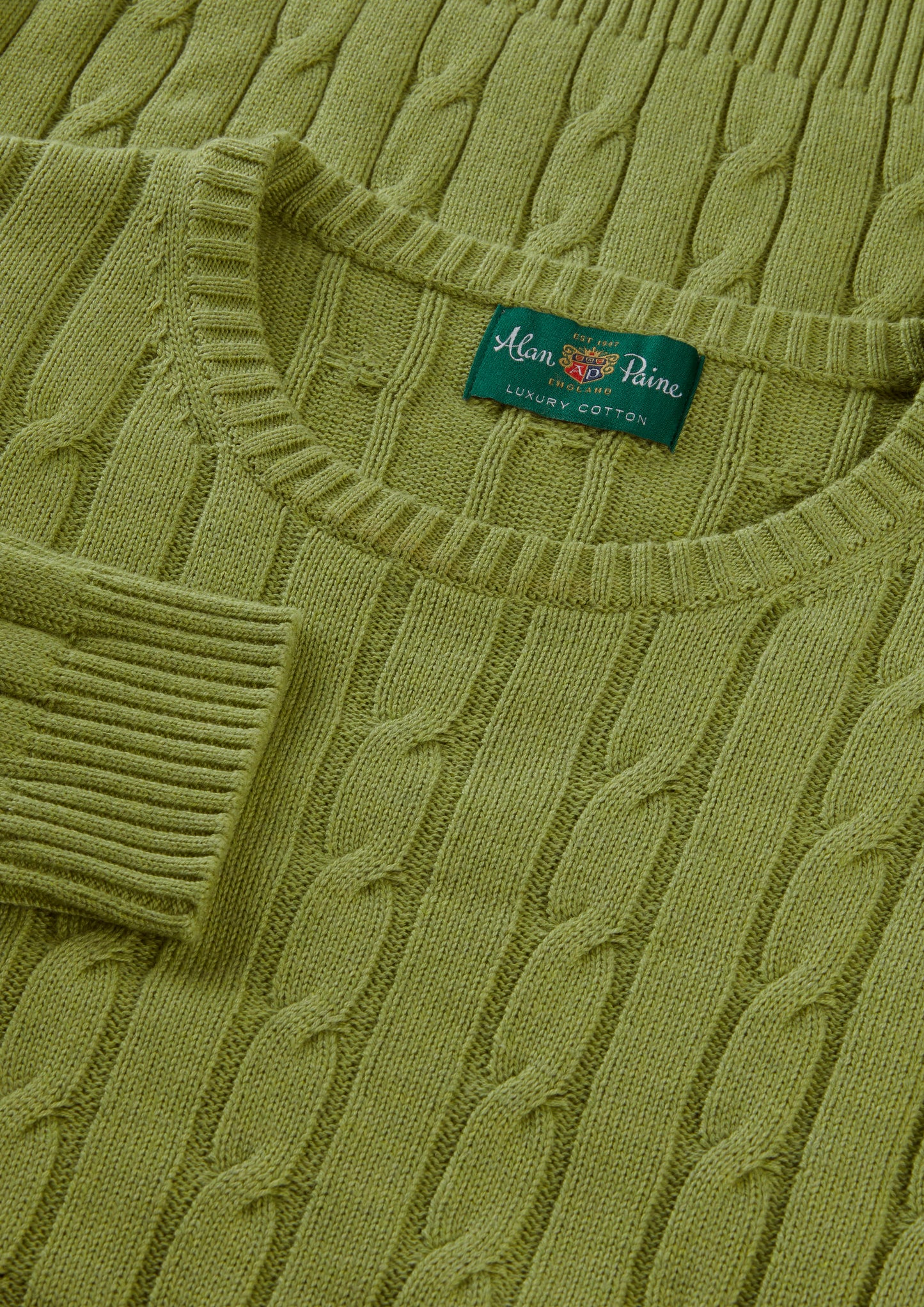 Men's Cotton Cashmere Crew Neck Jumper in Green