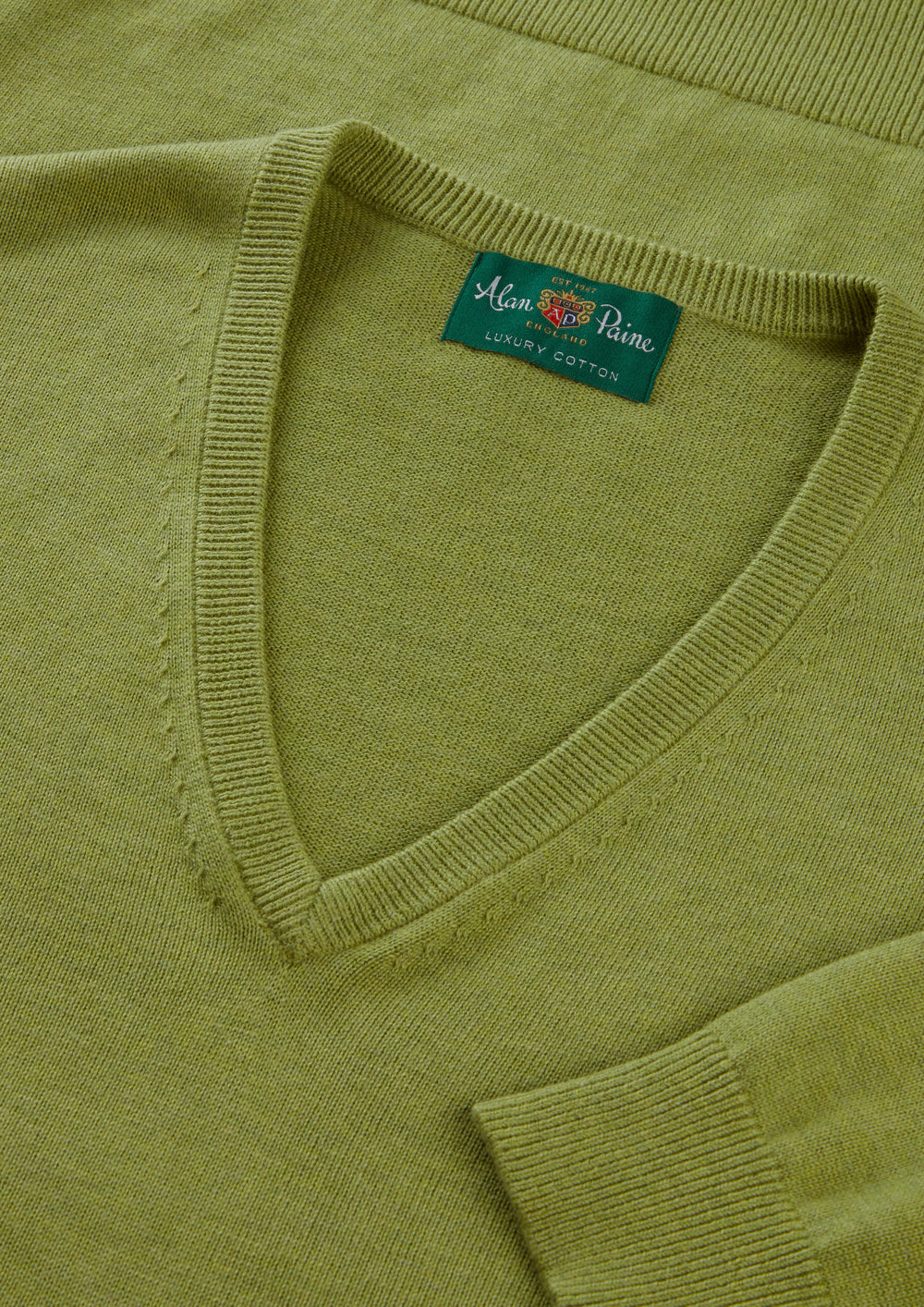 Men's Cotton Cashmere Vee Neck Jumper in Green