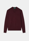 Men's Cotton Cashmere Vee Neck Jumper in Purple