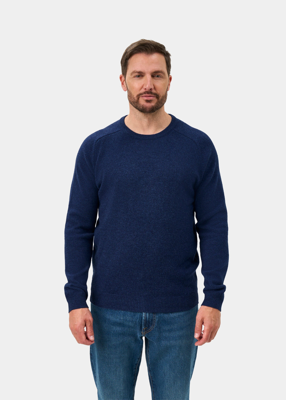 Lenzie Lambswool Crew Neck Jumper In Rhapsody - Regular Fit