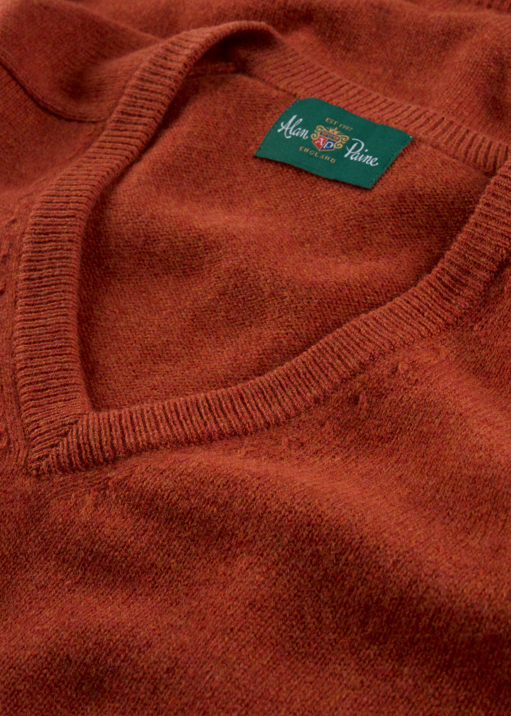 Men's Lambswool Vee Neck Jumper in Ember