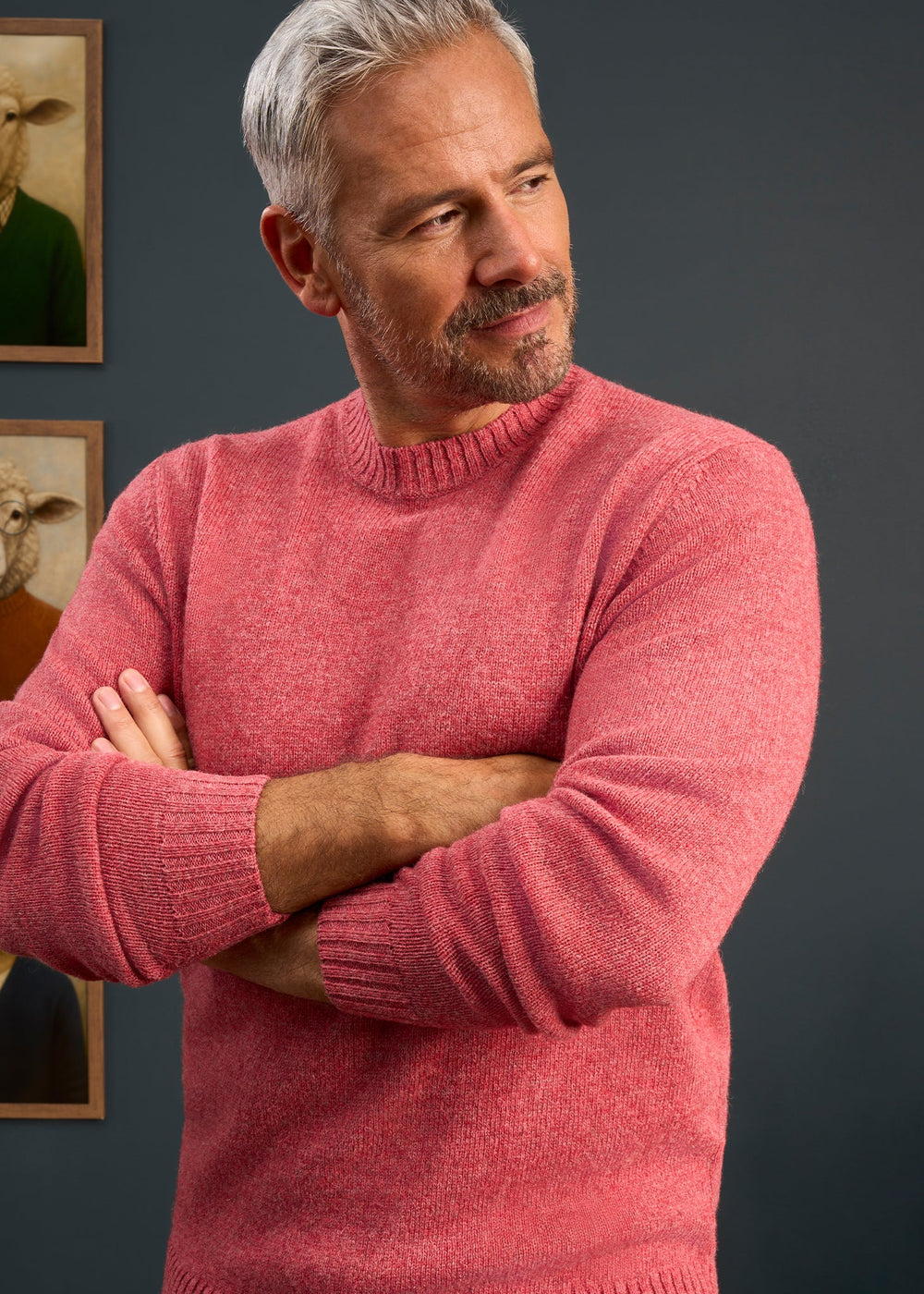 Man with gray hair wears the Kinnadie Supersoft Shetland Wool Crew Neck Jumper in Red Clover, arms crossed, dark backdrop.